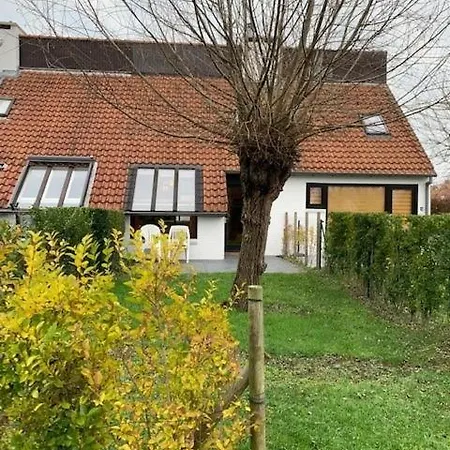 Barkas 24 Ferienhaus *